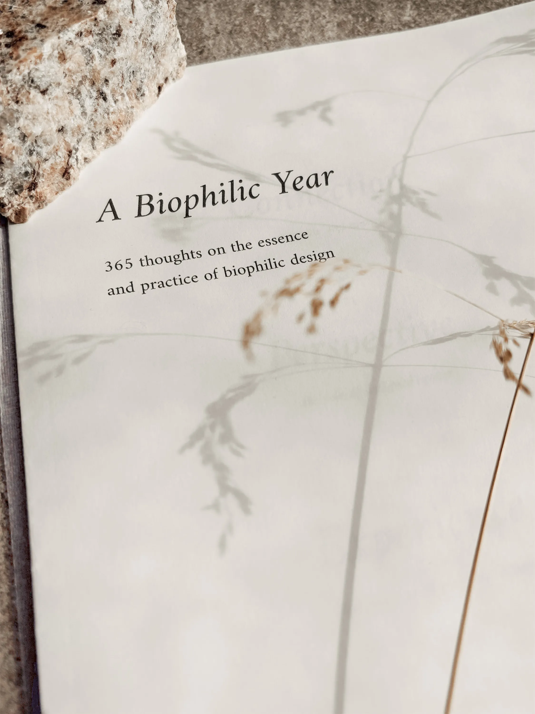 Shadows casting on the pages of A Biophilic Year.