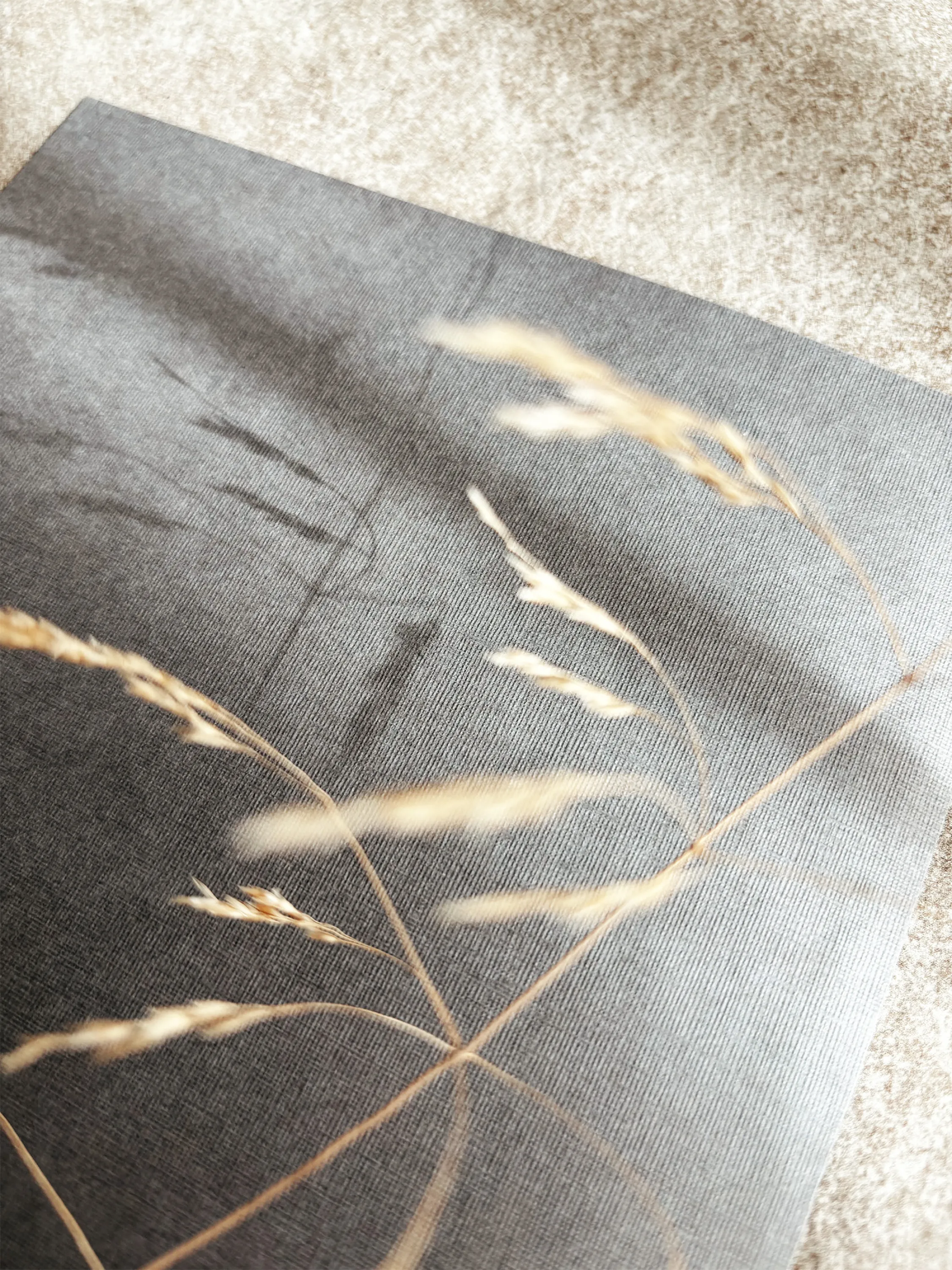 Shadow of a wild grass strand on textured paper.