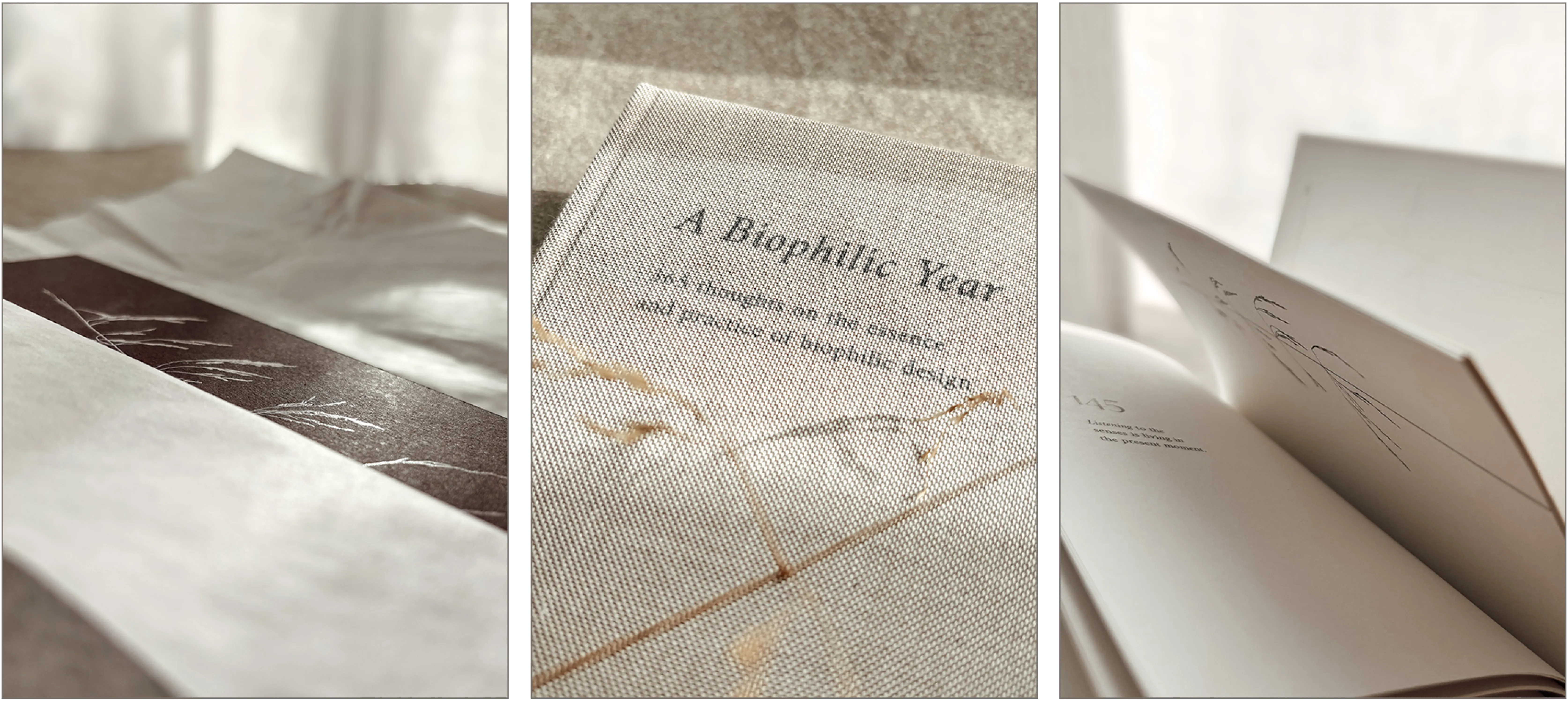 Illustrated bookmark with botanical print shining in the sun. Textile cover of A Biophilic Year and a wild grass strand. Open pages of the book A Biophilic Year.