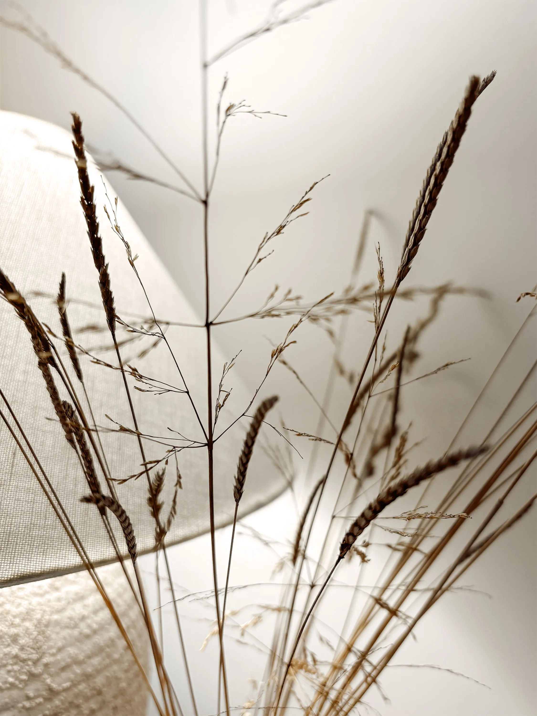 Wild grass strands and a textured lamp.