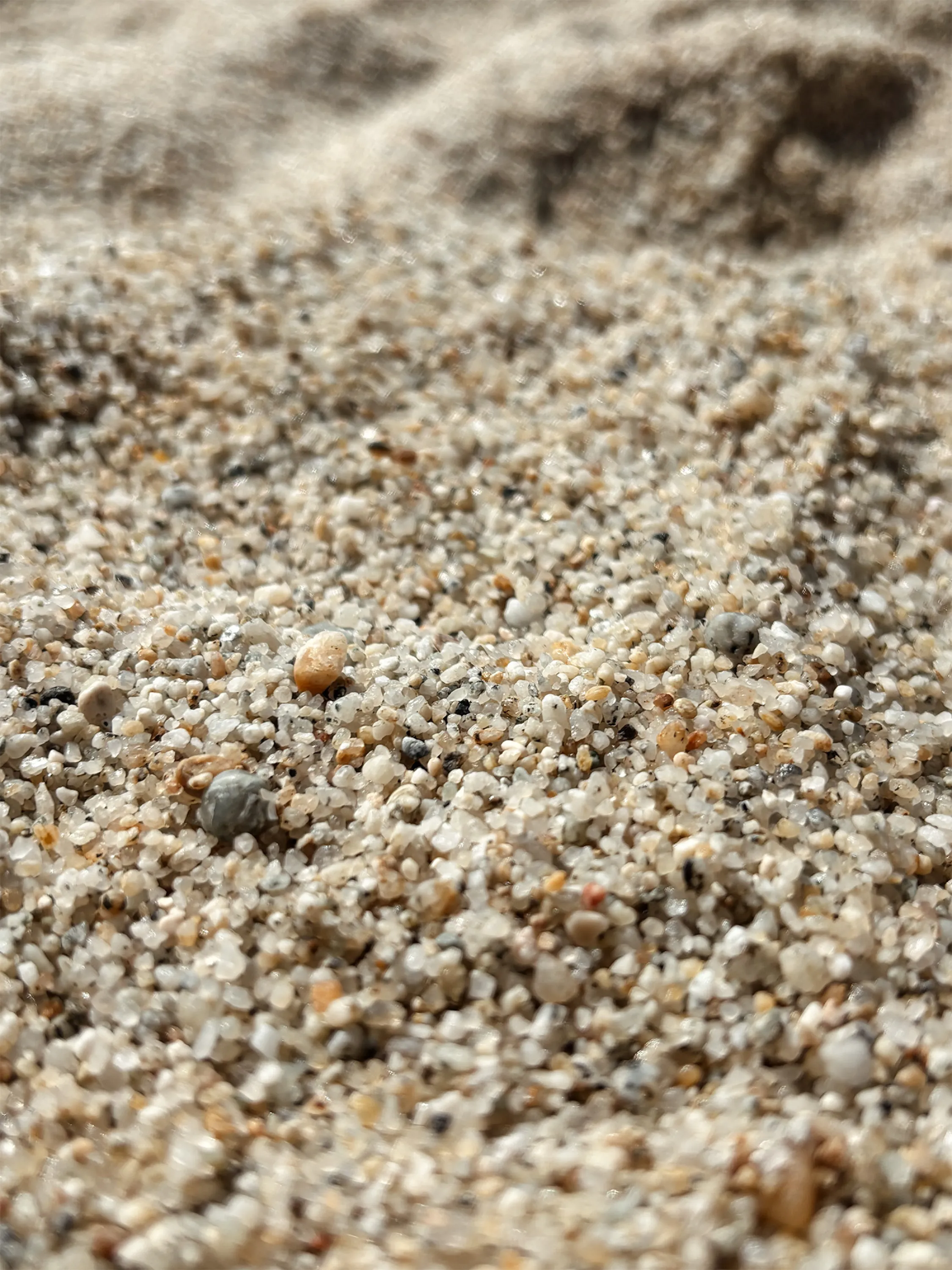 Close-up of coarse sand, individual grains of shell and stone in mixed tones.