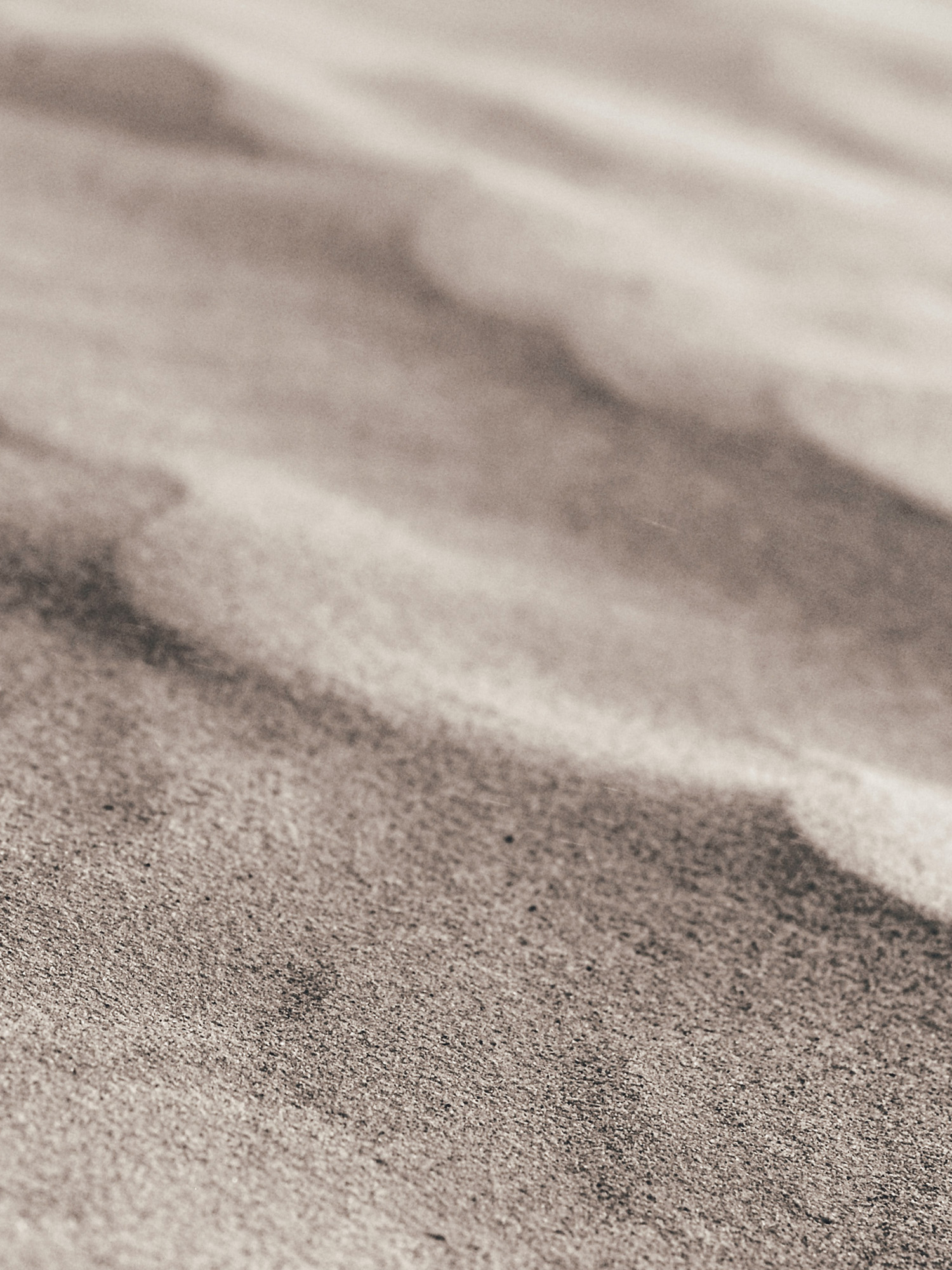Soft ripples of dry sand