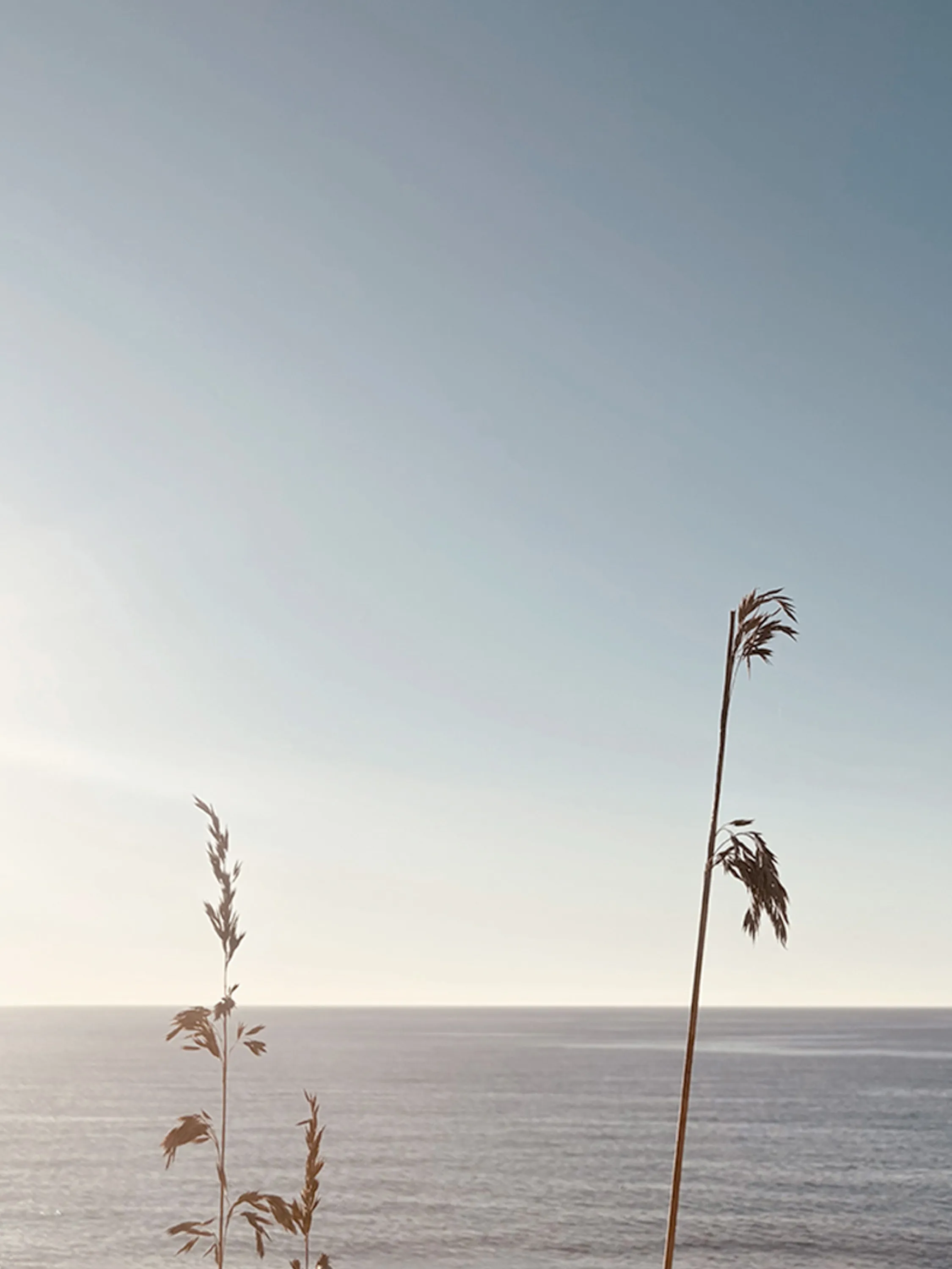 Biophilic Design Master’s programme