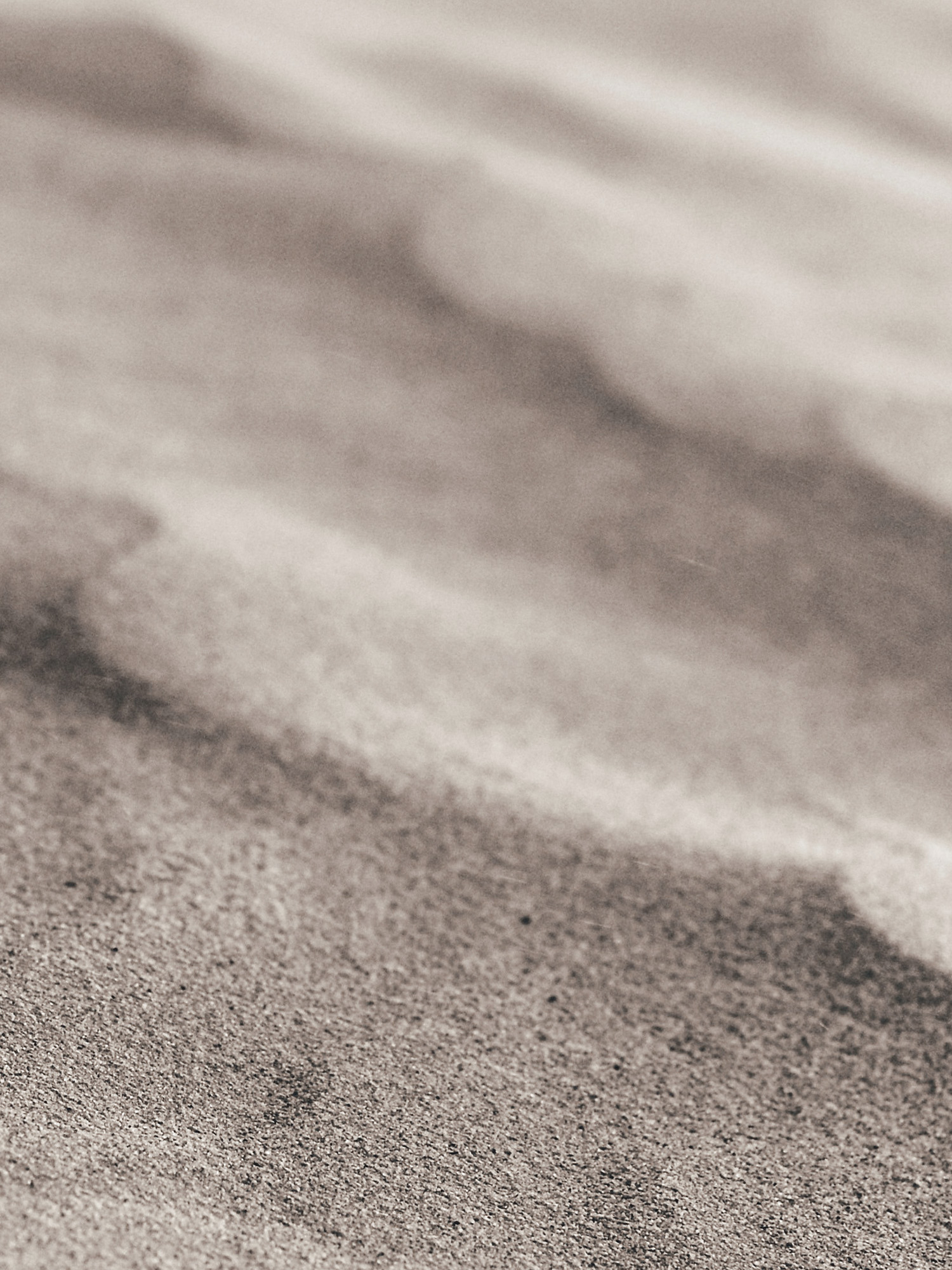 Soft ripples of dry sand