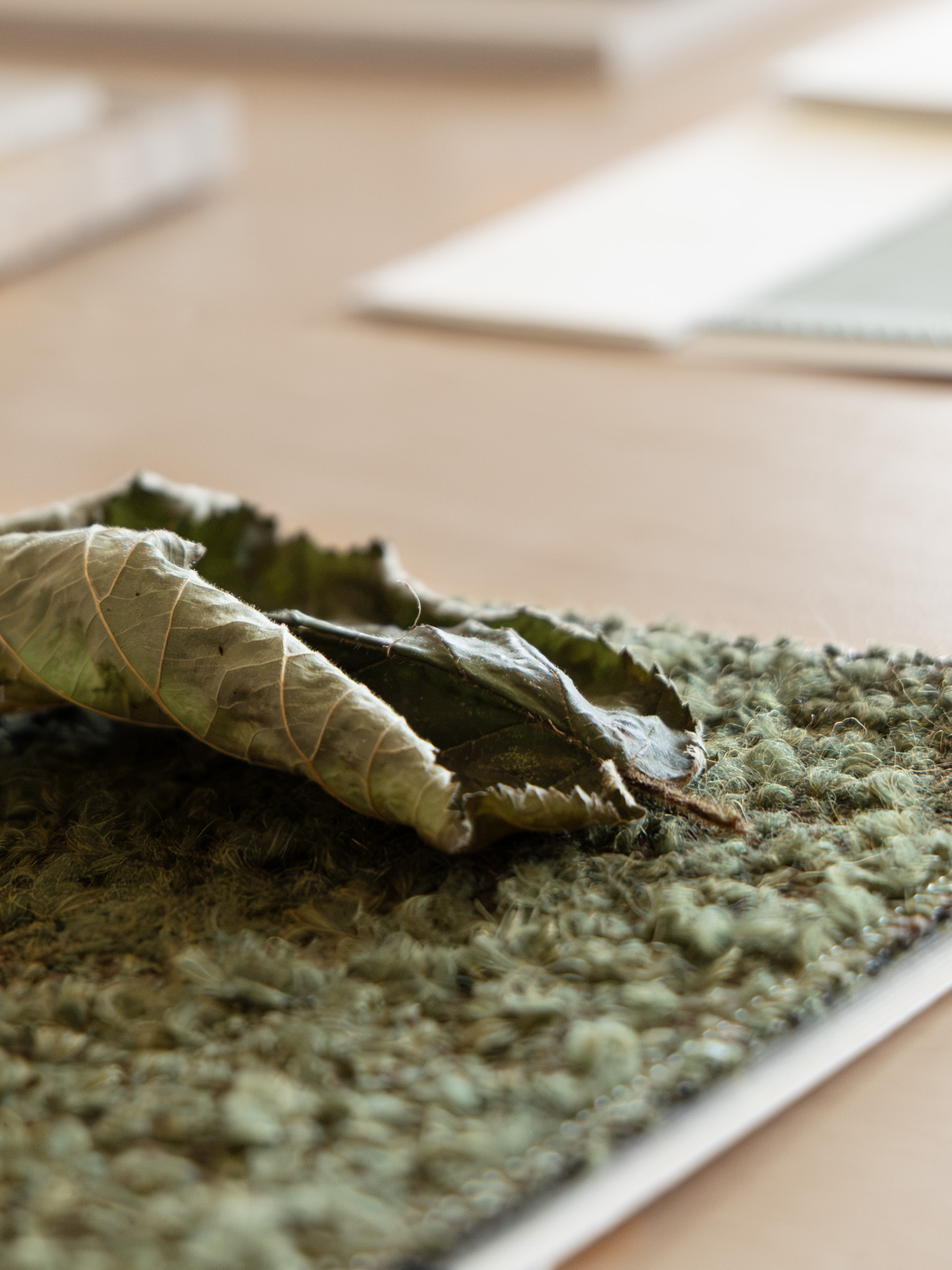 A curled dried leaf resting on a green textured fabric swatch