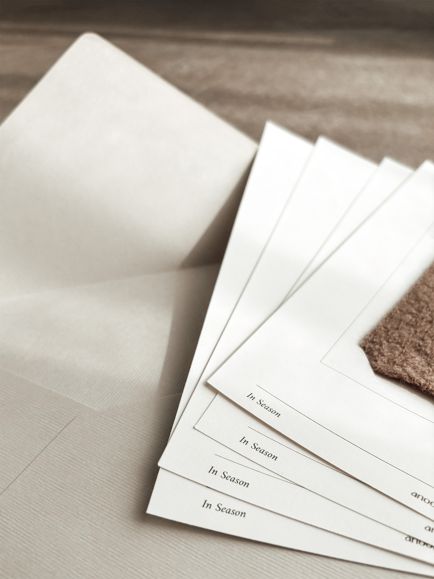 In Season cards fanned beside an open envelope in soft daylight