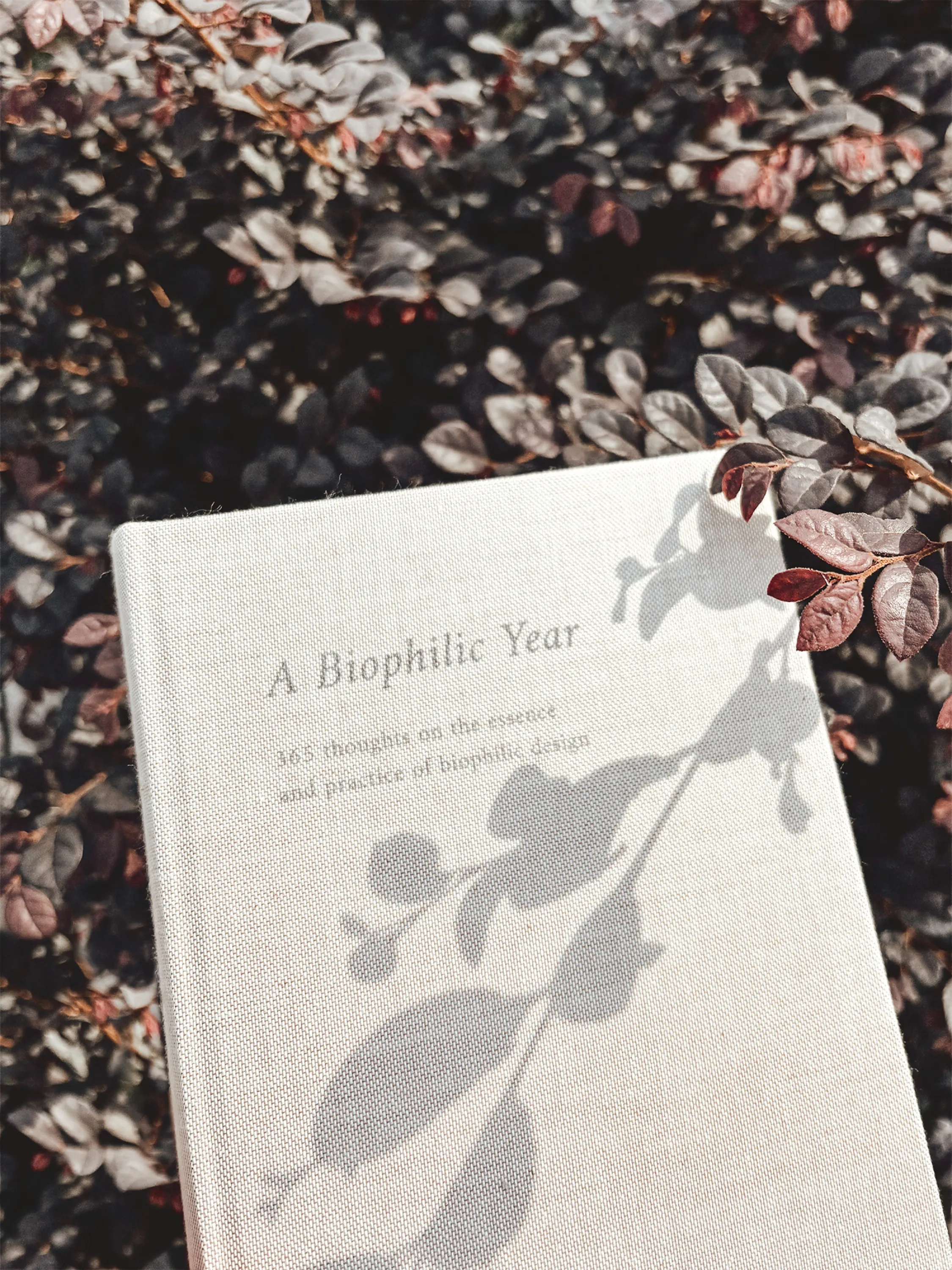 Four Chapters Through The Landscape