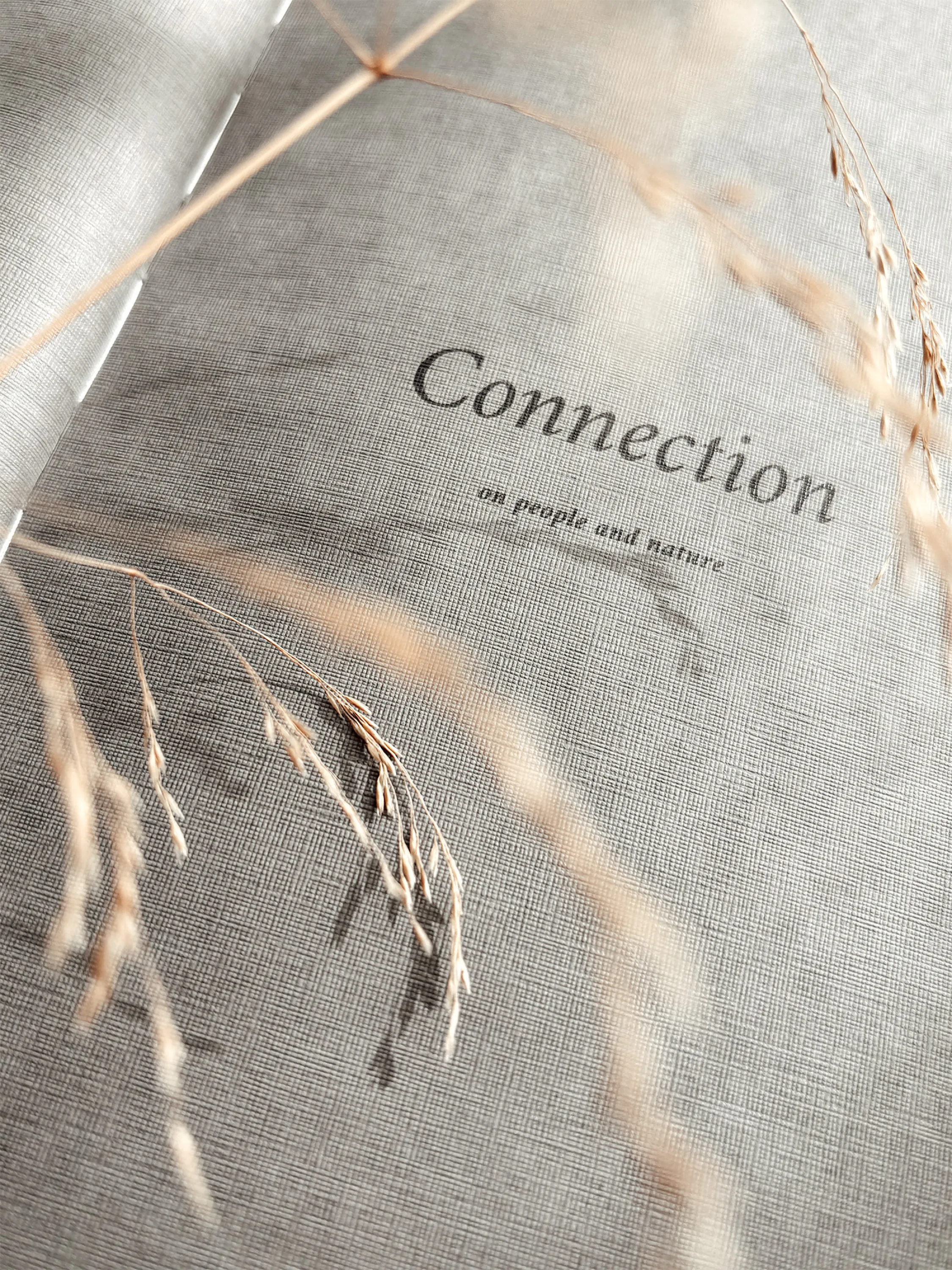Opening page of A Biophilic Year's chapter 1: Connection.