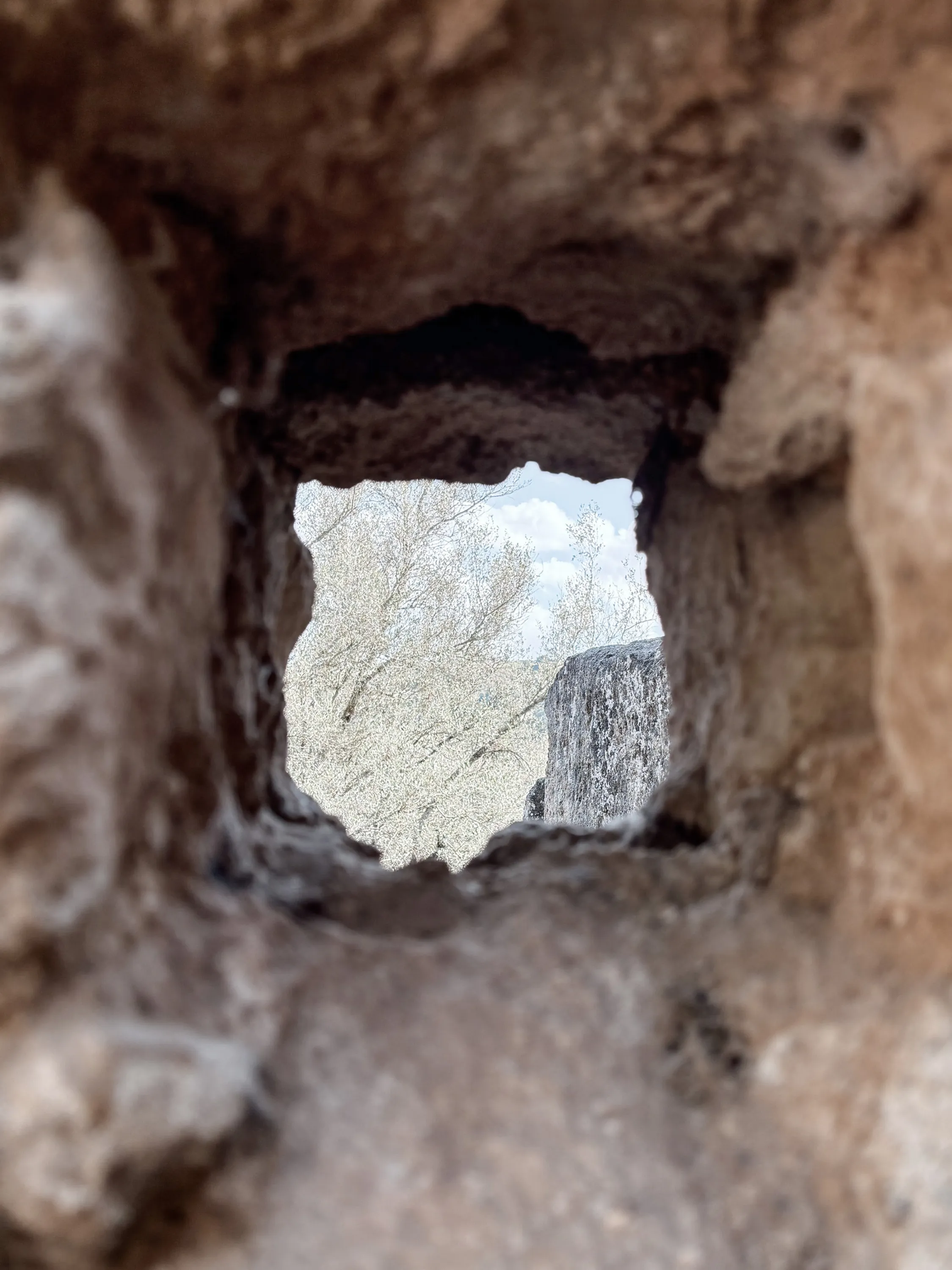 Un'apertura scavata nella pietra, che inquadra un ulivo e il cielo.