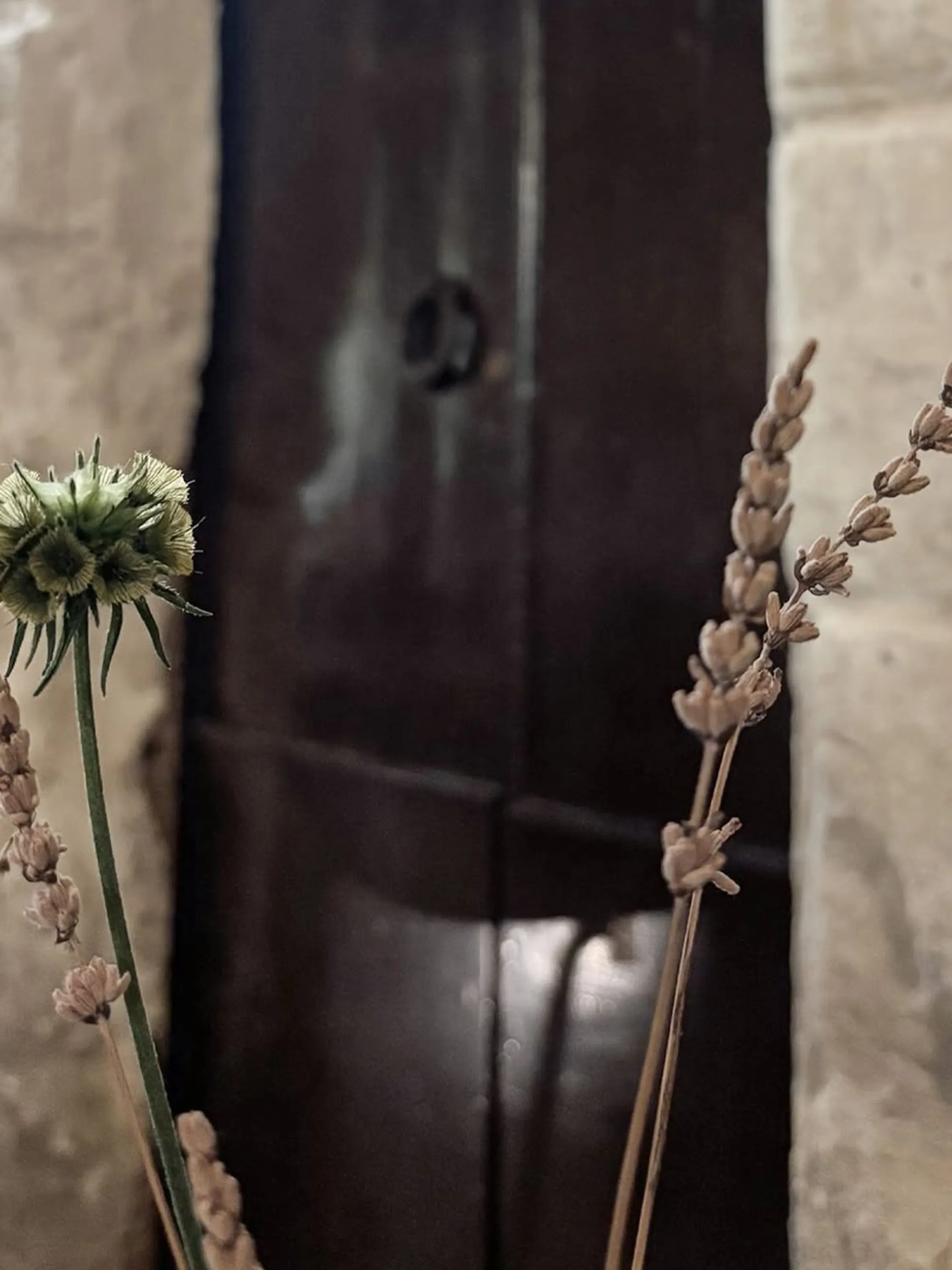 Biophilic Design Master’s programme