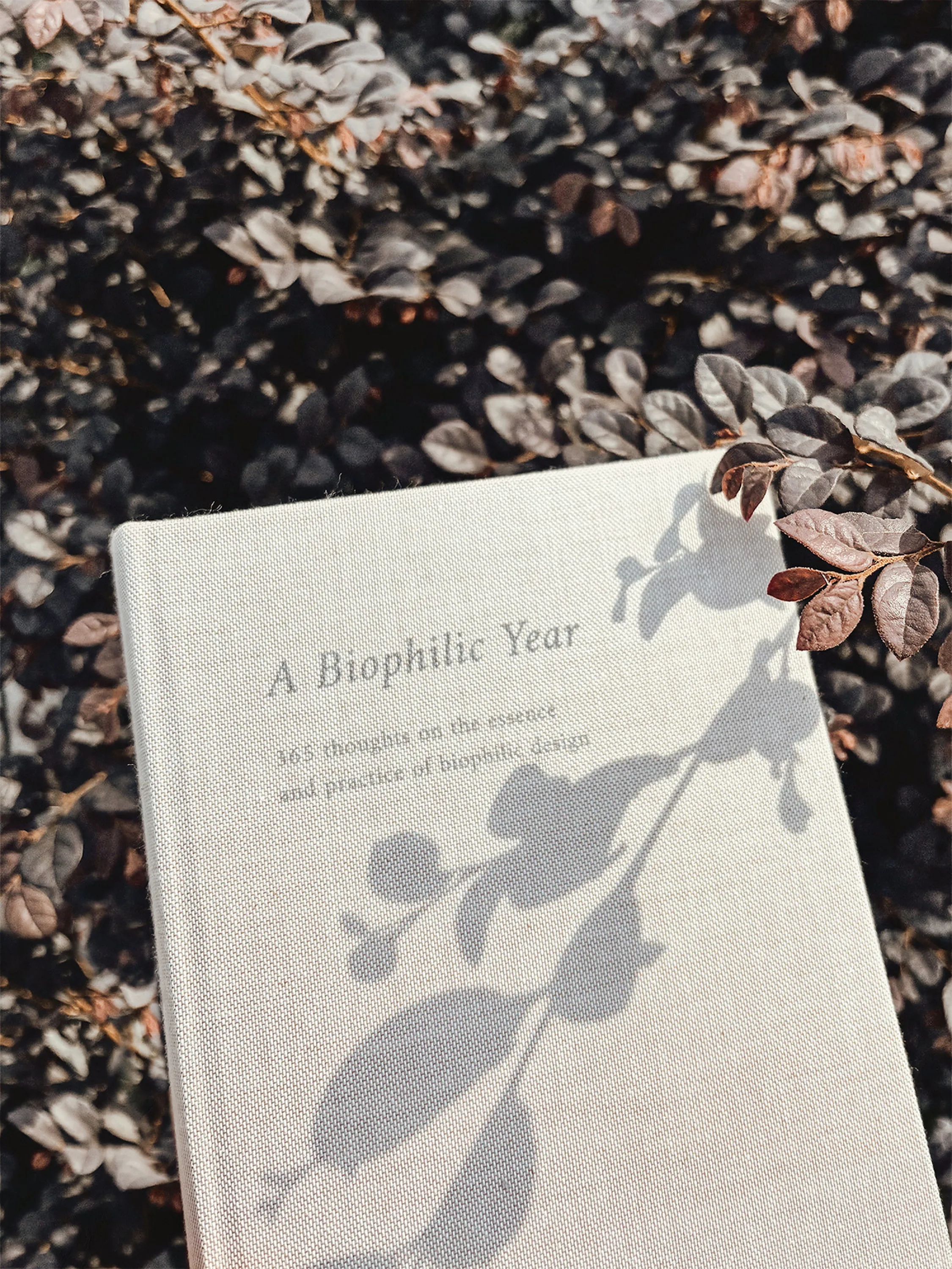Four Chapters Through The Landscape